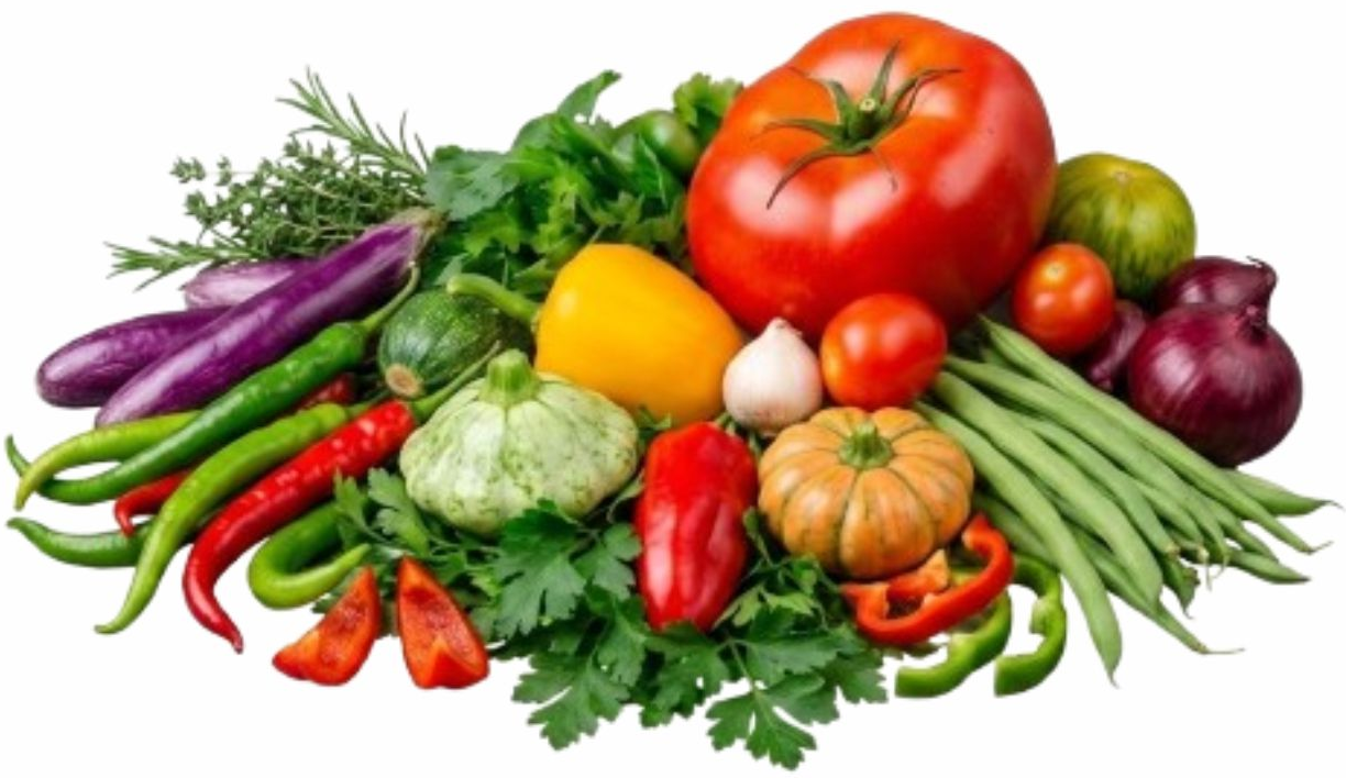 Vegetais higienizados por ozônio